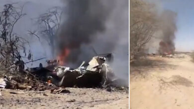 Peru Plane Crash: 13 Killed After Tourist Aircraft Crashes Near Nazca, Investigation Underway