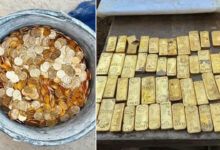 Crores-Worth Treasure Found During Drain Cleaning, 49 Gold Bars and Rare Coins Recovered