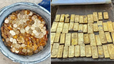 Crores-Worth Treasure Found During Drain Cleaning, 49 Gold Bars and Rare Coins Recovered