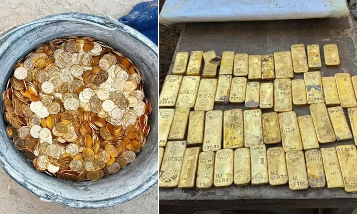 Crores-Worth Treasure Found During Drain Cleaning, 49 Gold Bars and Rare Coins Recovered