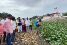 Osman Bin Mohammed Al Hajri Intensifies Anti-Dengue and Mosquitoes Control Abhyaan Drive across Karwan Constituency