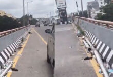 Garbage Piles Up on PVNR Expressway for 10 Days, Flying Debris and Empty Liquor Bottles Litter the Road (Video)