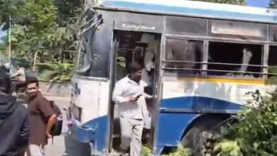 Heavy Tree Falls on RTC Bus Near Hanamkonda Public Gardens, Narrow Escape for Passengers