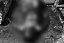 Woman Allegedly Kills Live-In Partner with Iron Rod, Acid; Attempts Suicide in Vizianagaram