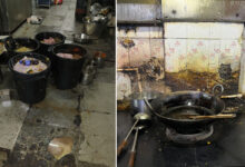 Food Safety Officials Find 50 Kg Rotten Chicken, Mutton and Prawns at Bahar Biryani Cafe in Dilsukhnagar