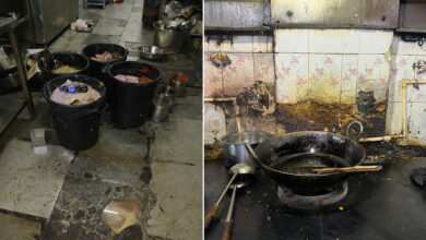Food Safety Officials Find 50 Kg Rotten Chicken, Mutton and Prawns at Bahar Biryani Cafe in Dilsukhnagar