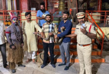 Indian Rock Python, Hen Rescued from Dance Group During Ganesh Immersion Celebrations in Hyderabad