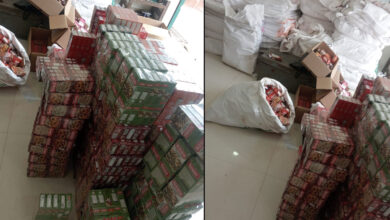 SOT Raids Dil Bahar Masala Unit in Hyderabad Over Alleged Relabelling of Expired Products