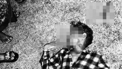 Farmer Dies by Suicide After Cotton Crop Withers Due to Water Shortage