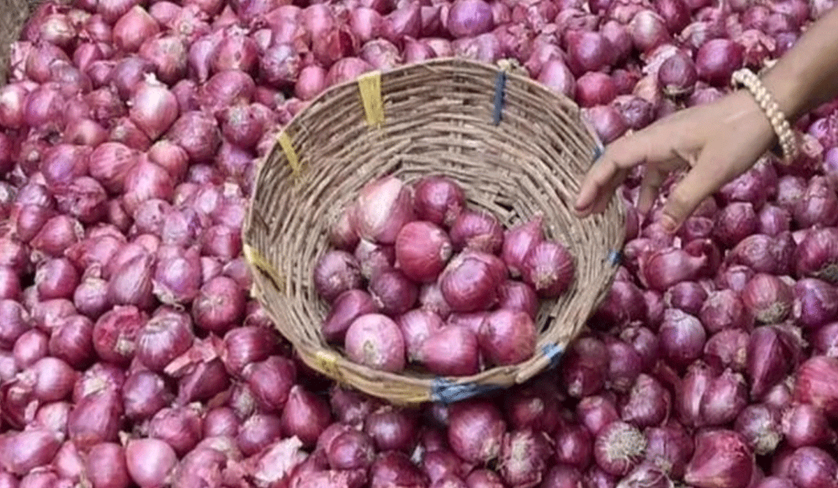 669 metric tonnes onions sold at Rs 35 per kg, Rs 210 crore paid directly to 3,400 farmers: Govt
