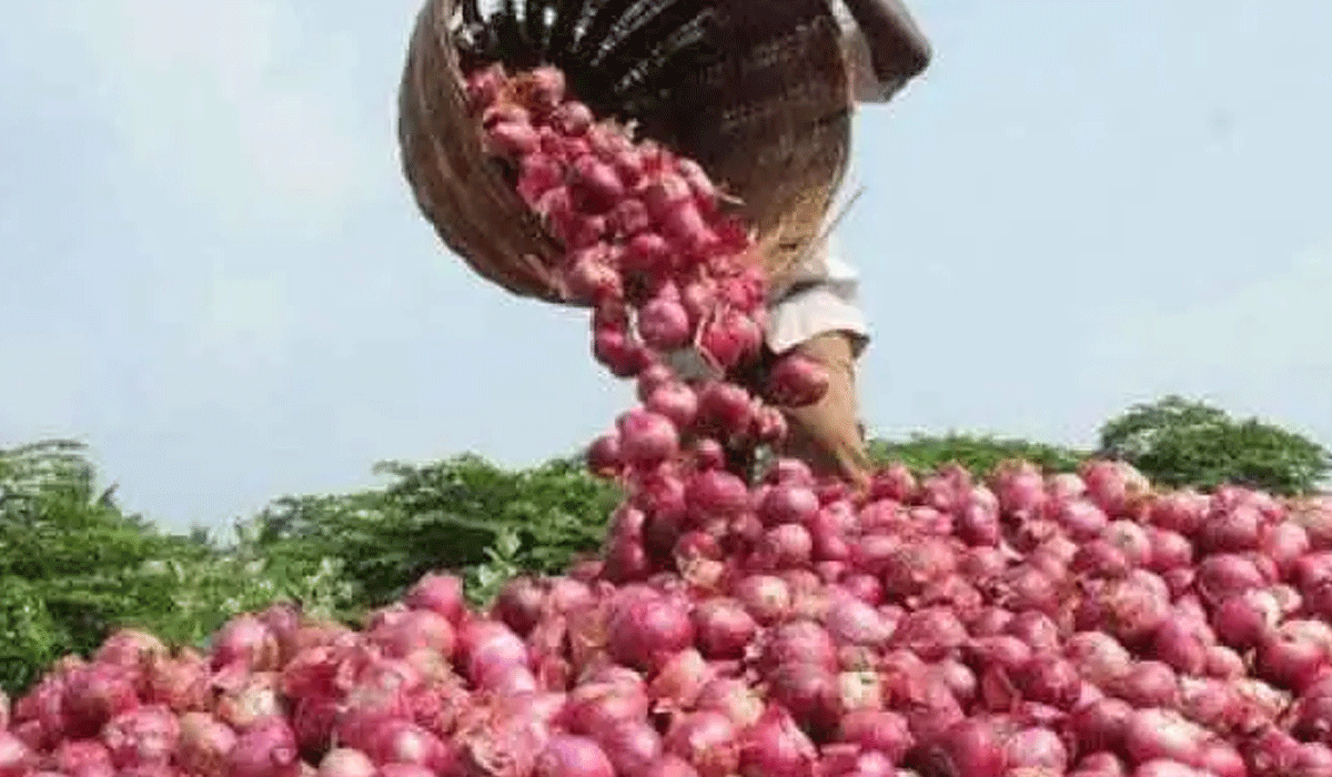Onion prices hit ₹70/kg in Hyderabad as supplies dip; Andhra Pradesh offers relief at ₹32