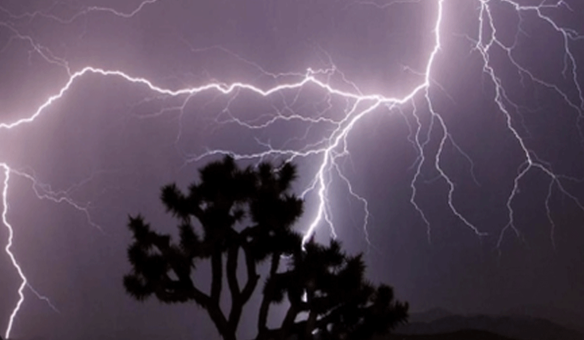 Two die of lightning as heavy rain lashes parts of Andhra Pradesh