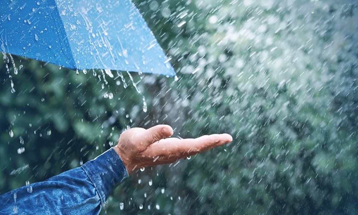 IMD issues red alert for five Telangana districts amid heavy rain forecast