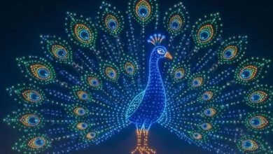 Mysuru Dasara Drone Show Sets Guinness World Record with 3,473 Drones